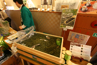 IMG_8035.jpg