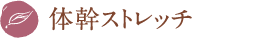 体幹ストレッチ