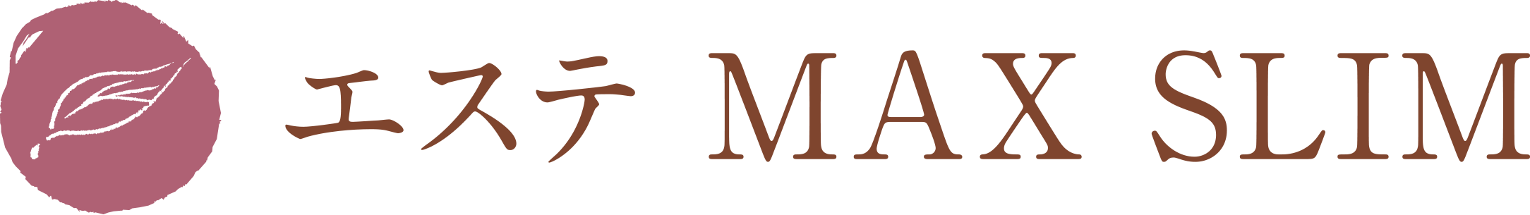 エステ MAX SLIM